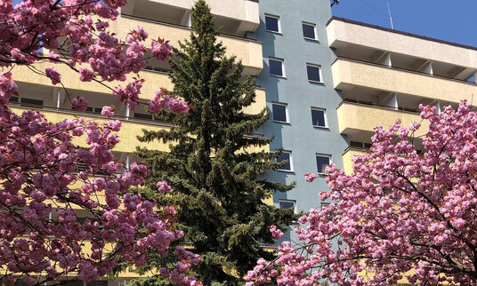 Klinikgebäude hinter blühenden Bäumen