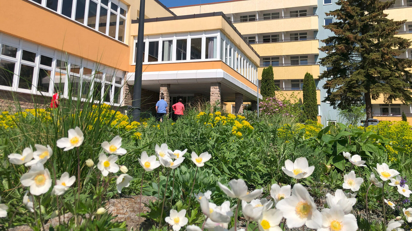 Frühlingsbeet vor dem Klinikeingang